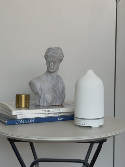 THE MOODIFY DIFFUSER